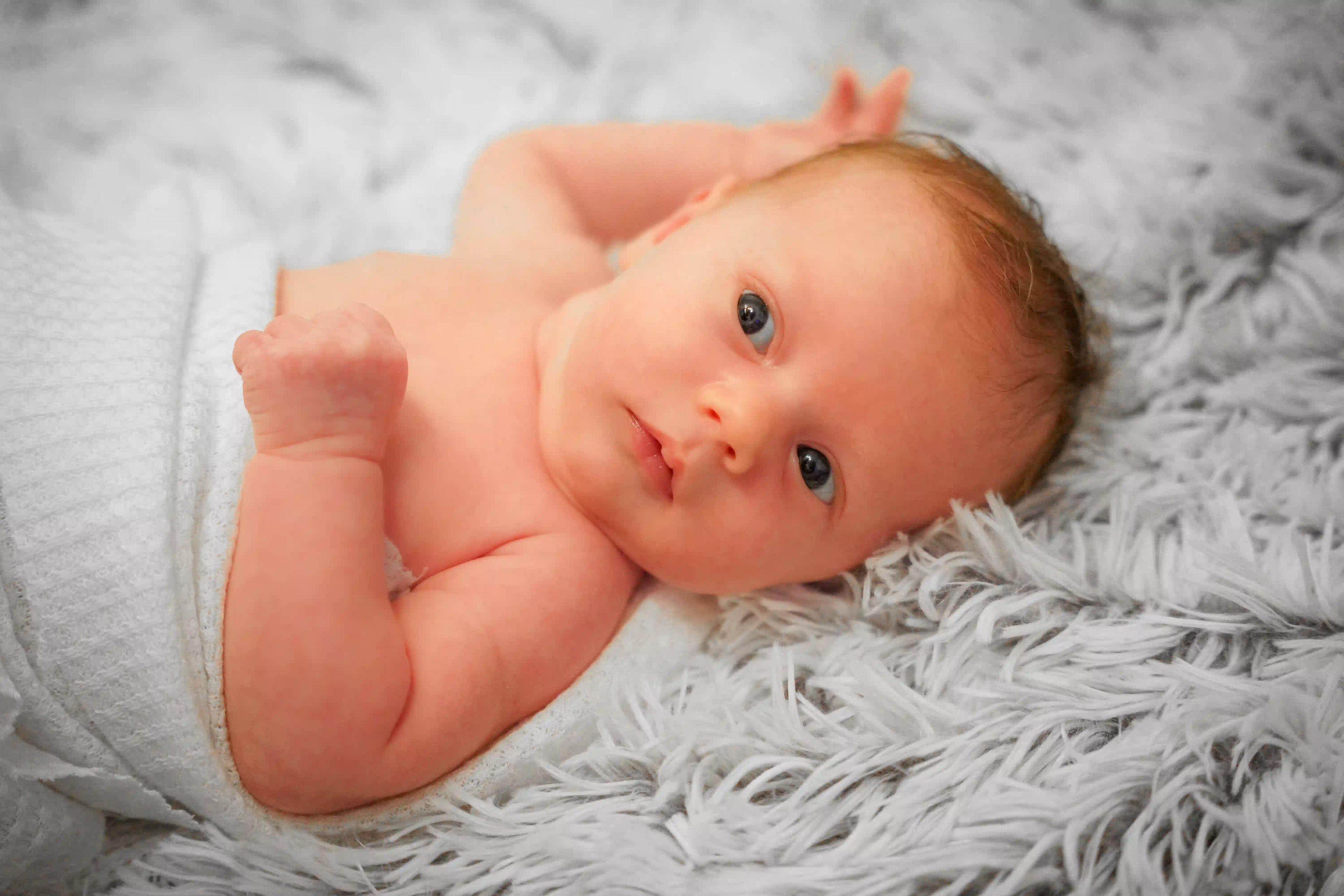 cover image of newborn gallery